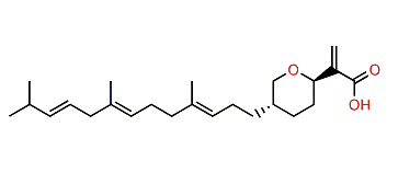 Rhopaloic acid A